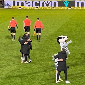 SV Sandhausen mascot